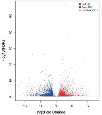 Response of the metabolic and autophagy pathways in Mytilus under starvation